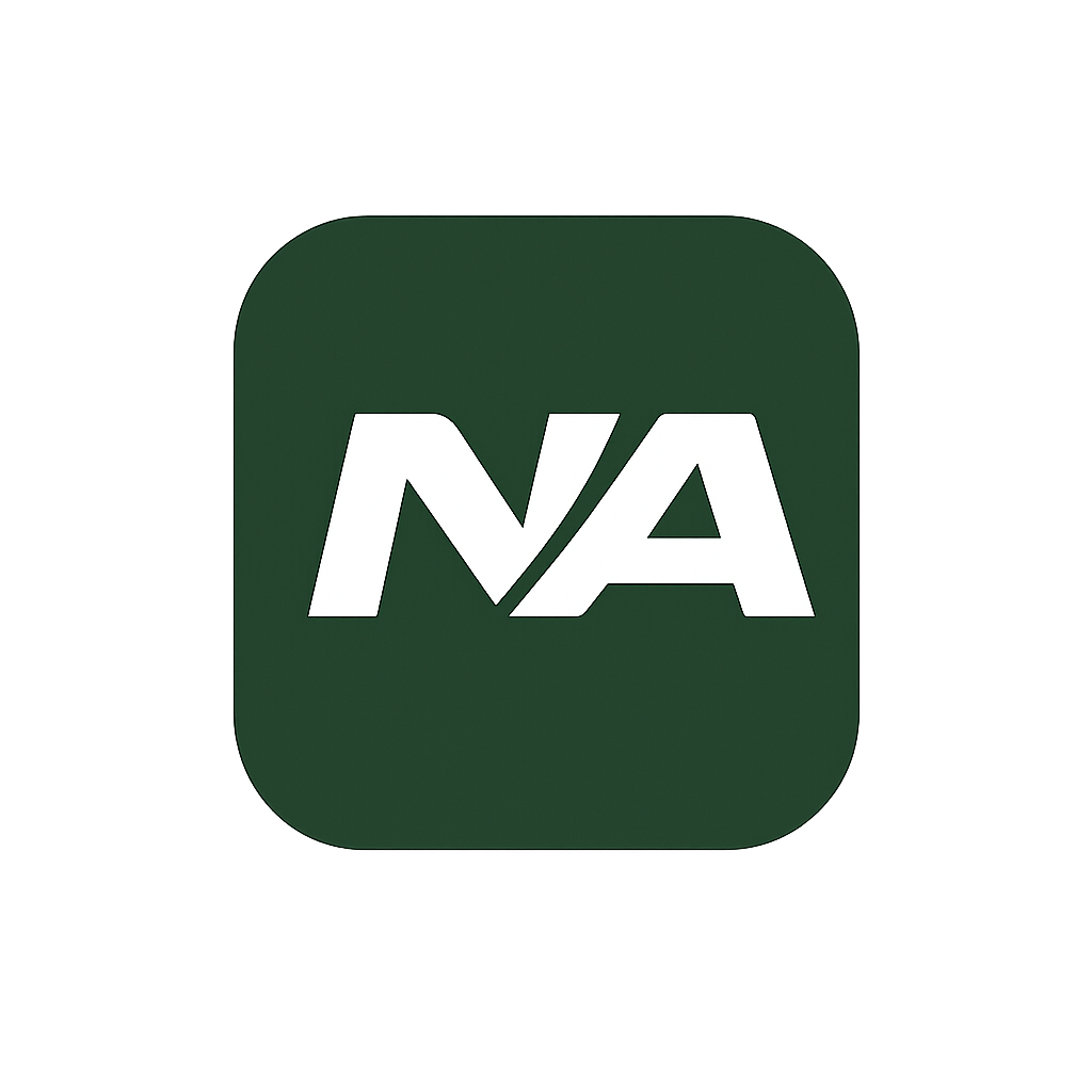 NetArabia Logo